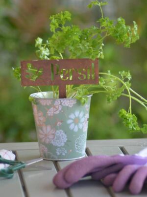 étiquette persil à planter dans un pot