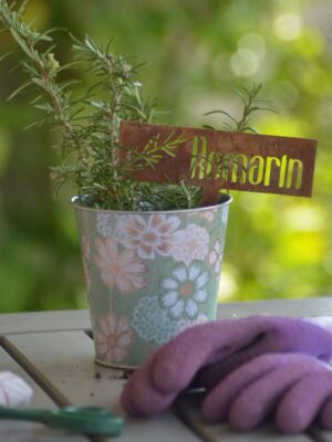 Étiquette aromatique romarin en métal rouille dans un bac aromatique