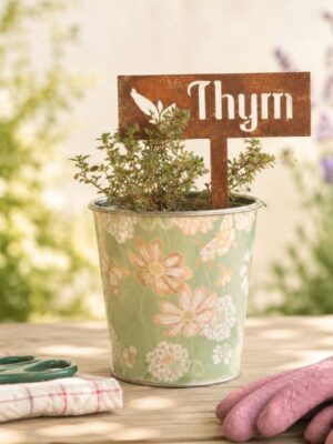 Etiquette métal thym à piquer dans un pot